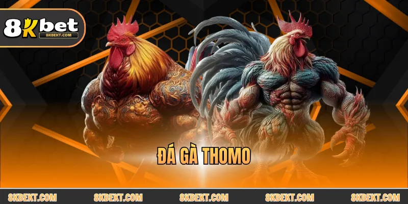 Đá Gà Thomo