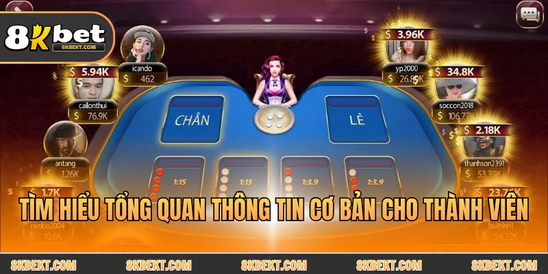 Tìm hiểu tổng quan thông tin cơ bản cho thành viên