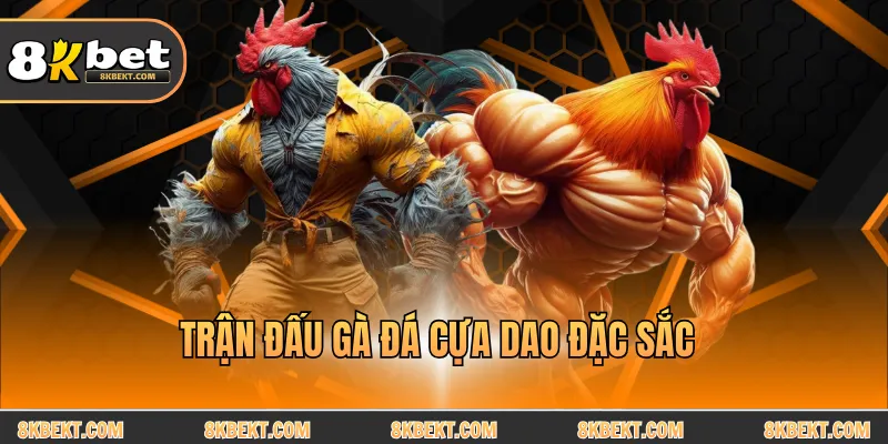 Trận đấu gà đá cựa dao đặc sắc